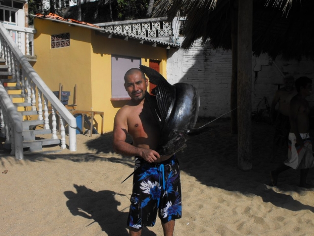  Pesce spada 