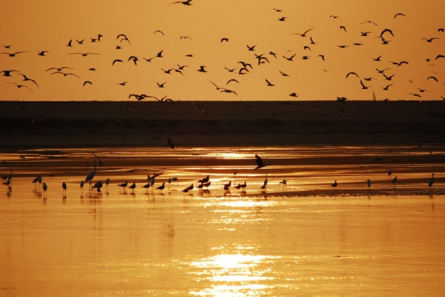  La magia della natura