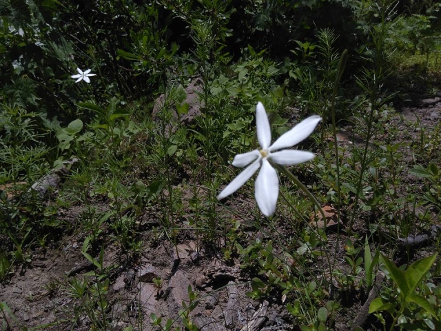  Die Natur genießen 