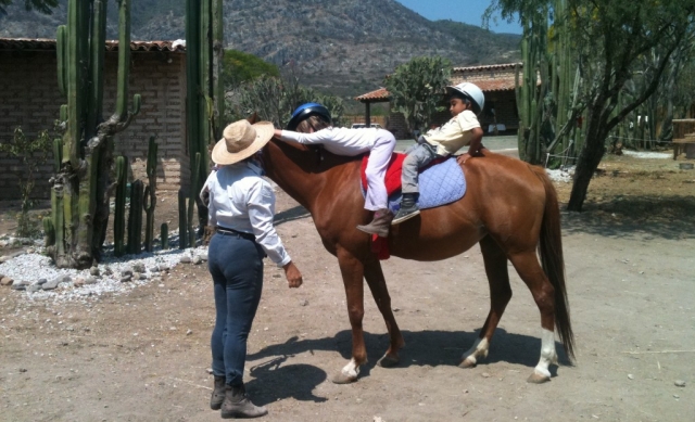  Lezioni con i migliori cavalieri 