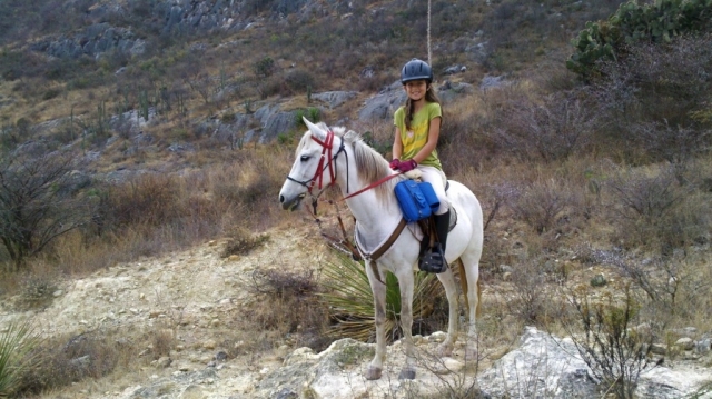  Passeggiate a cavallo per tutte le età 