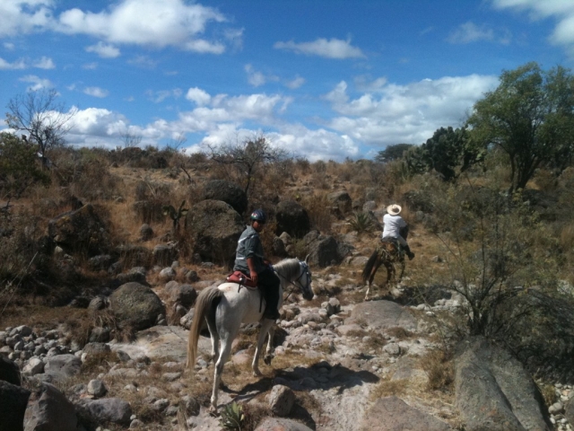  Percorri diversi sentieri a Oaxaca 