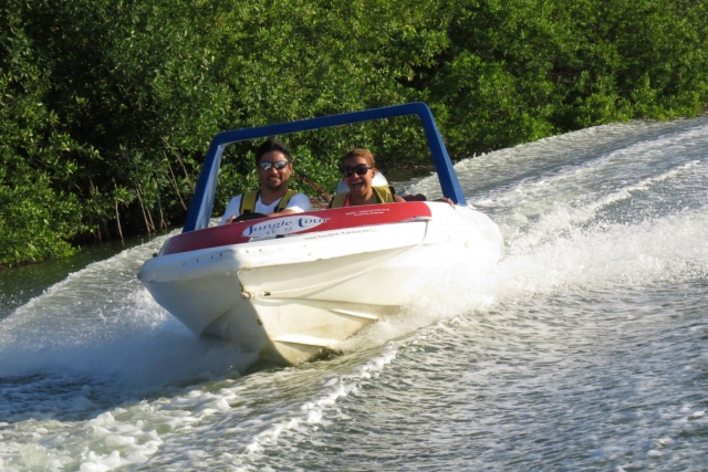  Get to know the mangrove 