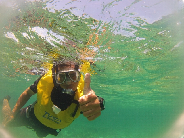  Guided tours through the sea 