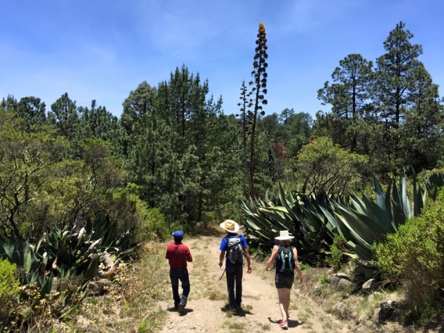 Cammina attraverso le valli di Oaxaca 