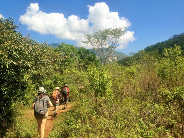  Cammina attraverso le montagne del nord di Oaxaca 