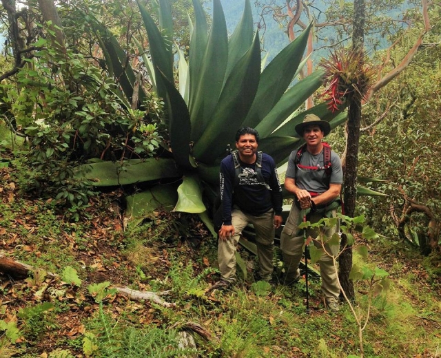  Conosci la sua vegetazione 