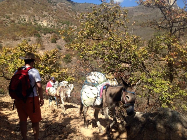  Goditi il suo percorso 