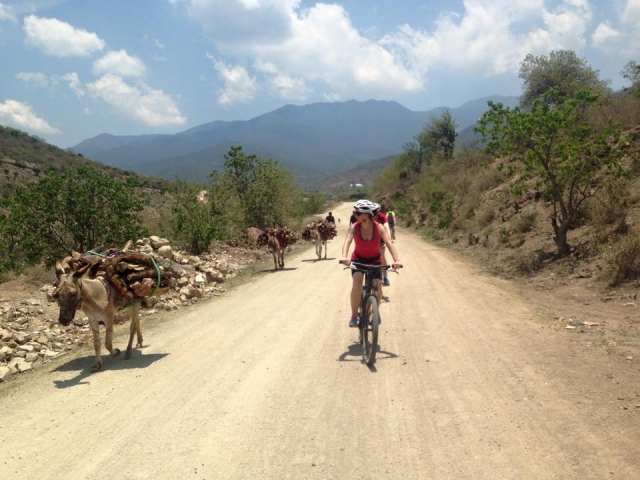  Conosci le comunità 