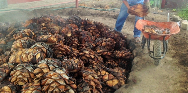  Scopri come è fatto 