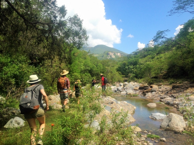  Goditi una piacevole passeggiata 