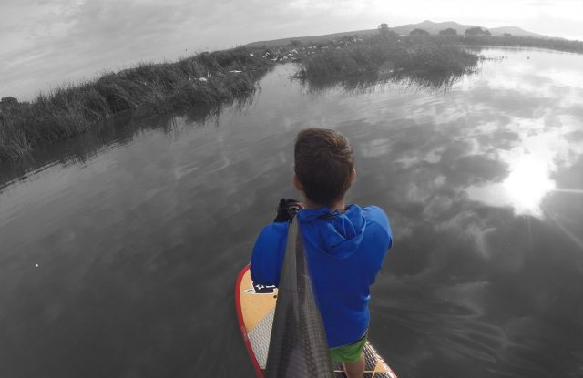  Nature et oiseaux 