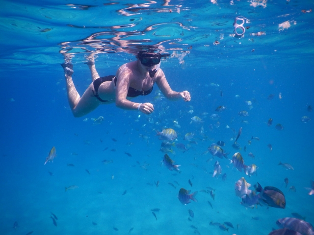  Prática Snorkel no Cortez Sea 