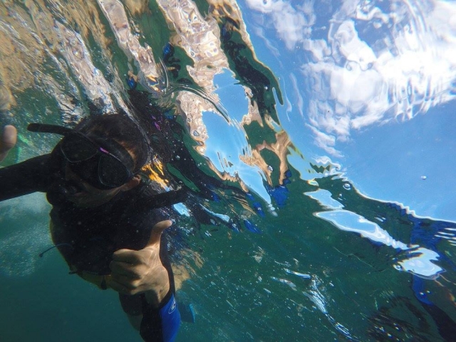  fai snorkeling nel mare di Cortes 