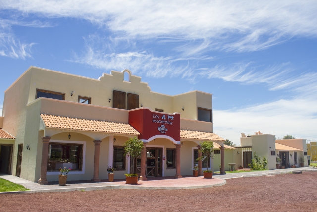  在庄园享受乐趣 