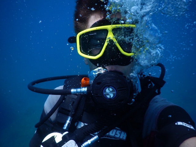 e-19735030-diving-1652869-960-7201474988825470.jpg