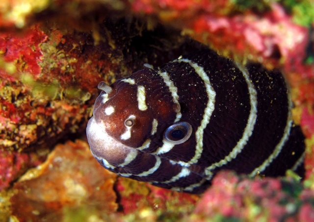  Discover the marine world 