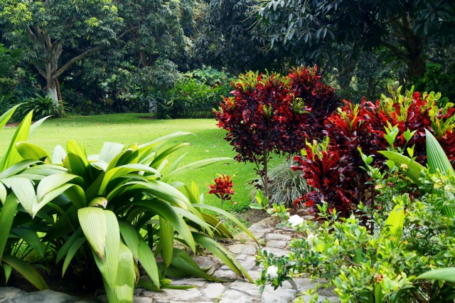 Jardin y alrededores 
