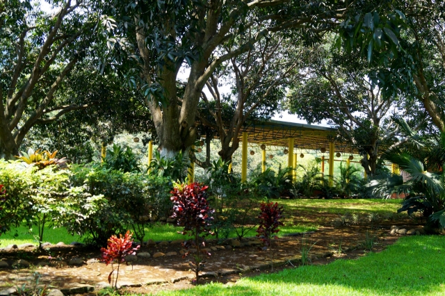Conoce el lugar 