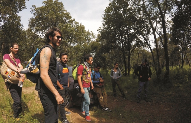  Guided walks 