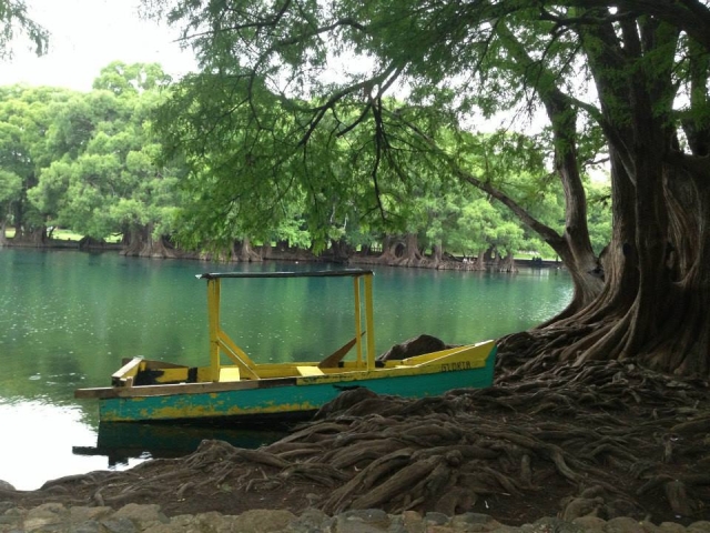 Lernen Sie jeden Winkel von Michoacan kennen