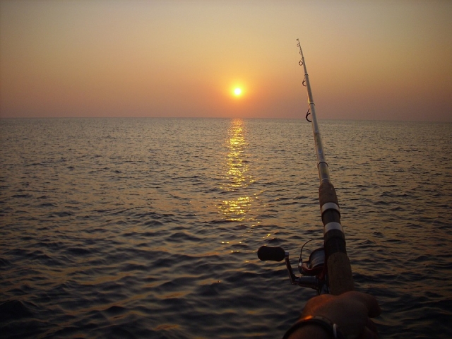 Disfruta de la pesca