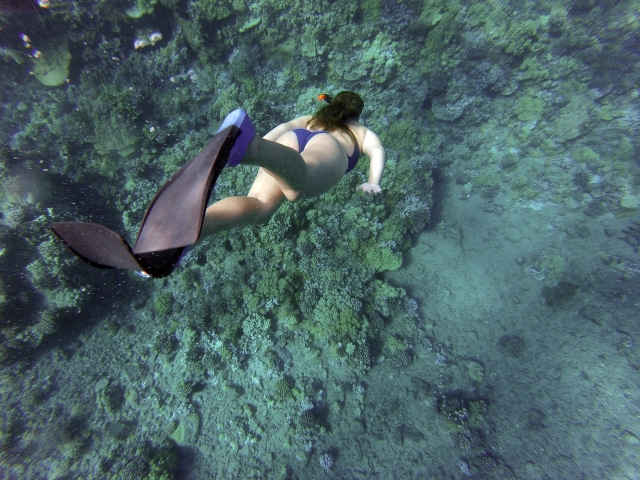 Snorkel en el arrecife