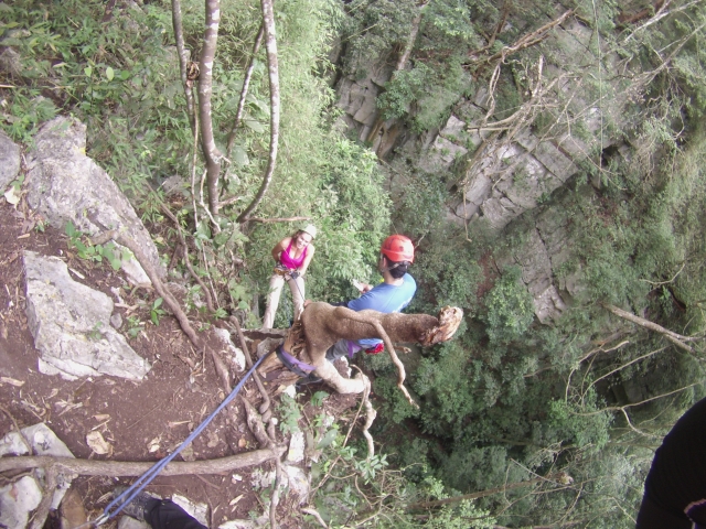 Rappel en la selva