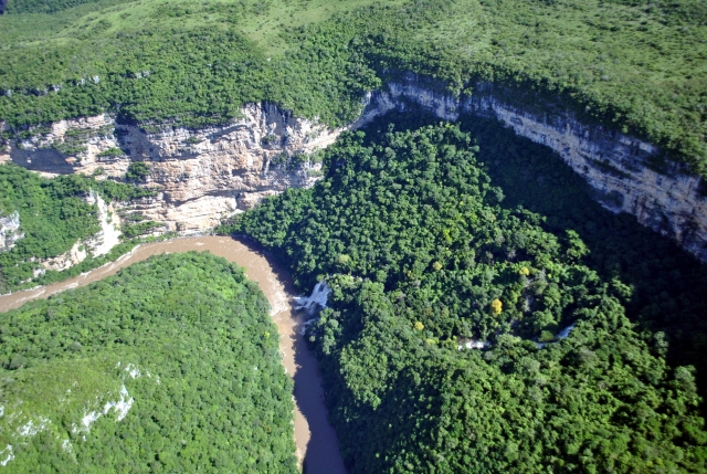 A media selva