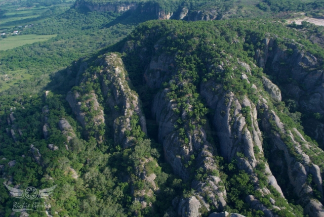 Vive chiapas 