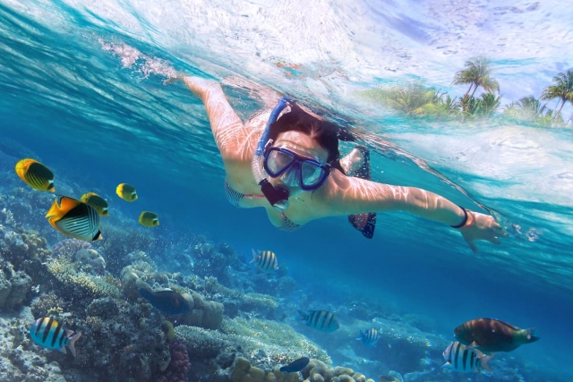 Clases de buceo