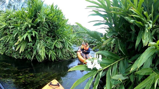 Kayak en catemaco