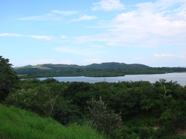 Rio del oro