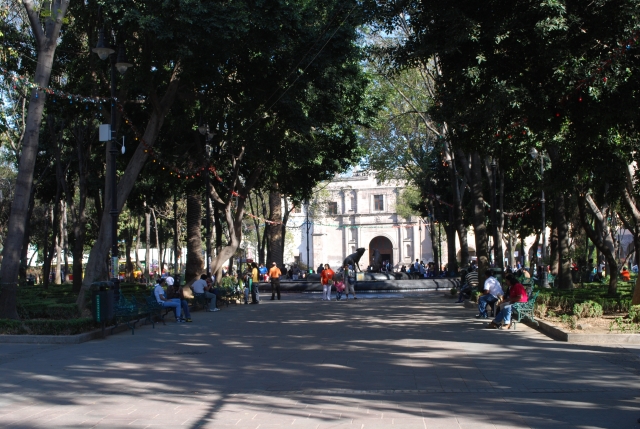  Jardin du Centenaire de Coyoacán 