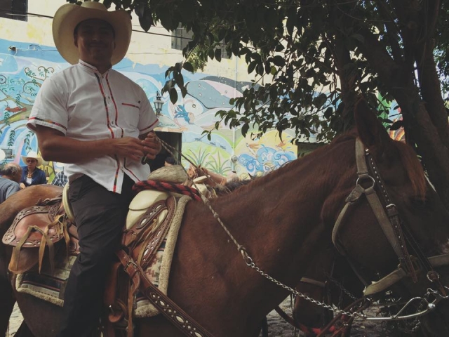  Horseback riding in the center 