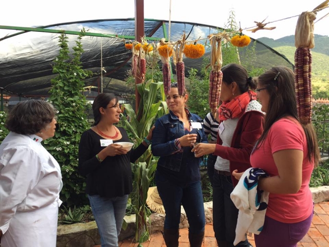 Group workshops 