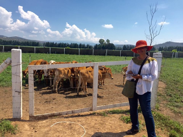  View on the farm 
