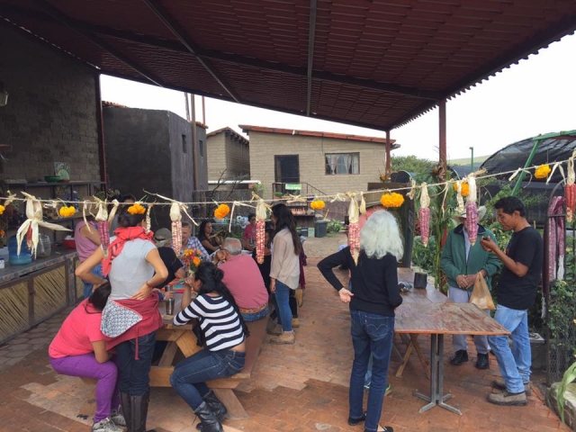  Groups on the farm 