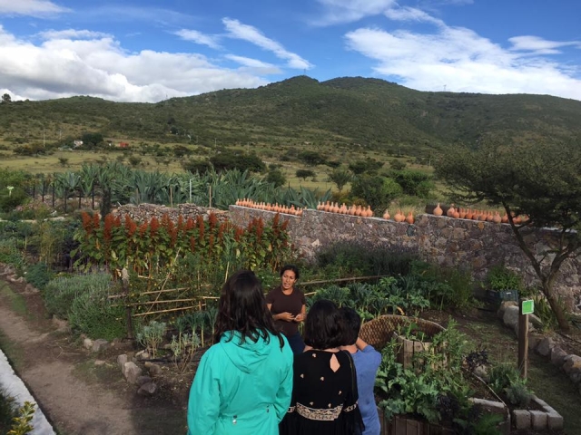  Farm educational 