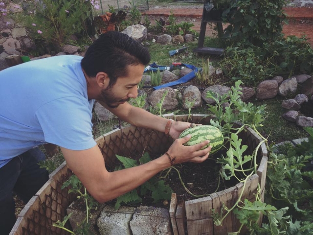  Organic products 
