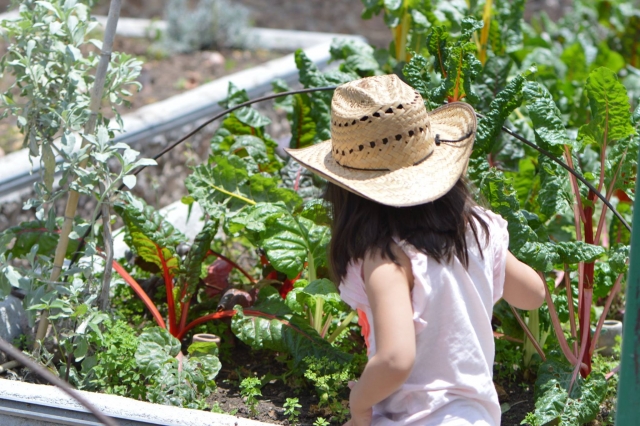  Learning to farm