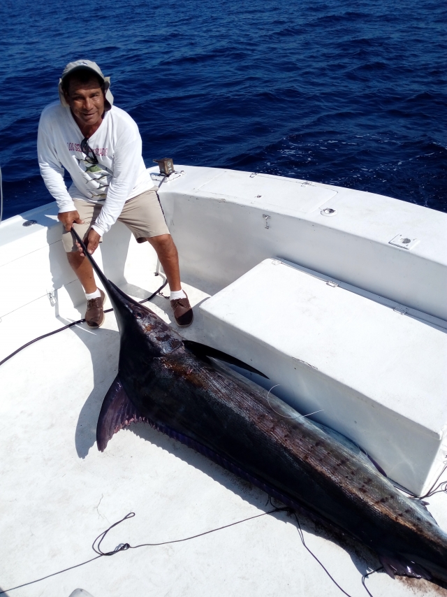  With a sailfish