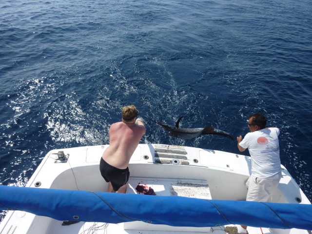  Returning the fish to the water 