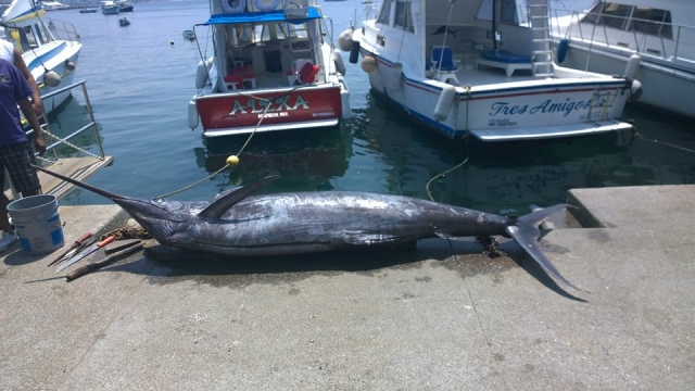  Fishing for swordfish 