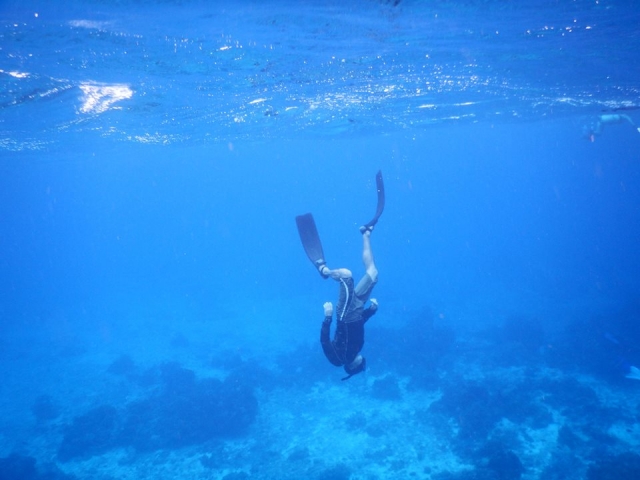 和我们一起潜水