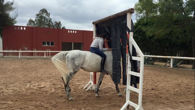 Trae a los pequeños