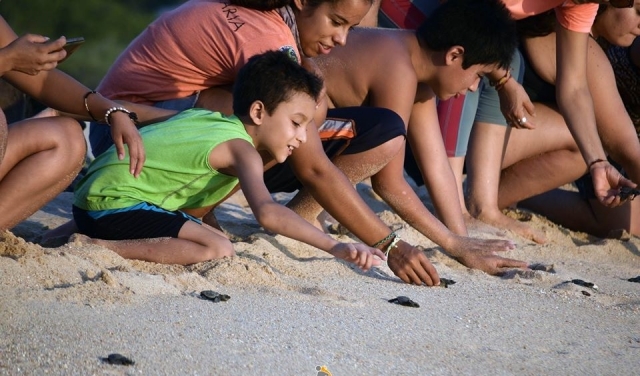  Plage de libération des tortues 