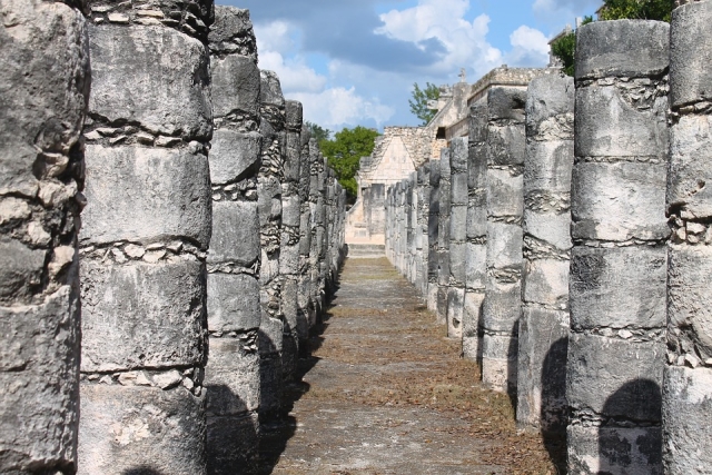  The columns 