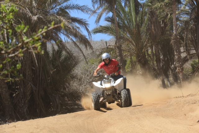  Drive your motorcycle 