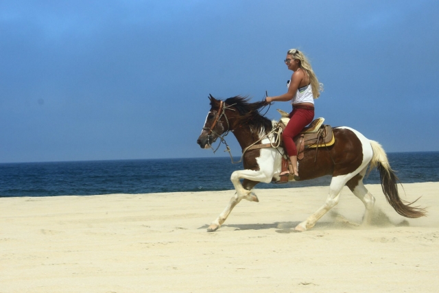  Tour the entire beach on horseback 